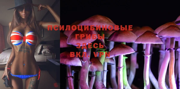 МДМА Арсеньев
