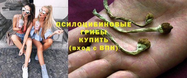 герыч Алзамай