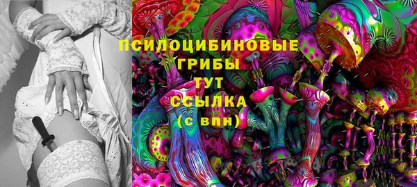 прущий лед Протвино