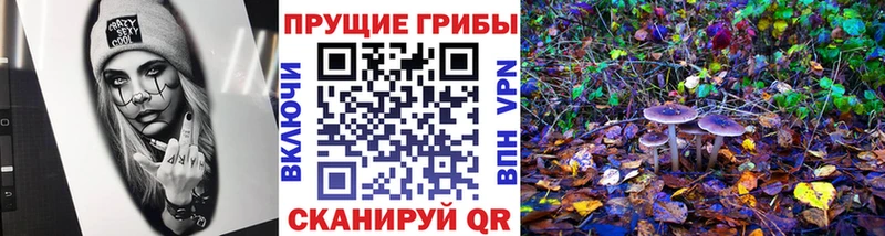 Псилоцибиновые грибы Psilocybine cubensis  Нюрба 